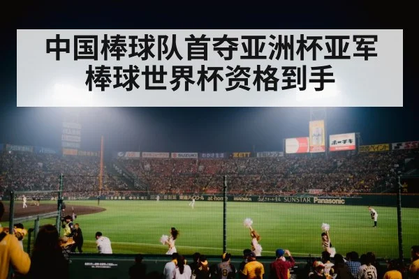 baseball stadium night